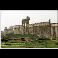 17441 04 053 Aphamea Syrien 2011.JPG